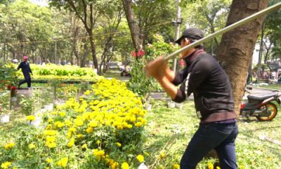 CÔNG TY THIẾT KẾ NỘI THẤT CHUYÊN NGHIỆP, SÁNG TẠO